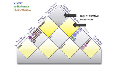 How Much is a Drug Worth? A Provocative Model Puts a Price on Benefit