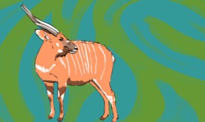 Howard Ozer died as he lived—on a safari