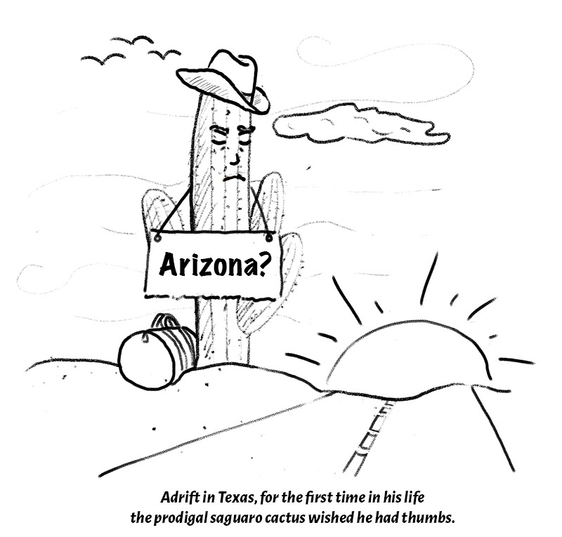 correction texas web (1)