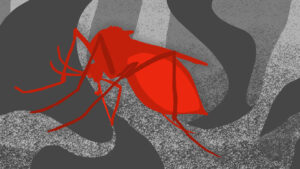 Friending viral foes: The Zika story and (perhaps) lessons for COVID-19