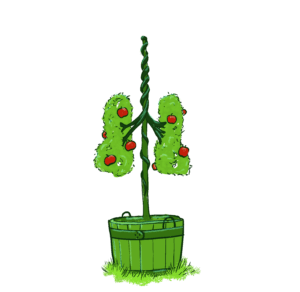 USPSTF broadens age range, risk threshold in new recommendation for lung cancer screening