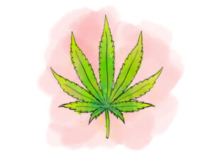 Living with cannabis: The goal of helping cancer patients live in comfort deserves data now