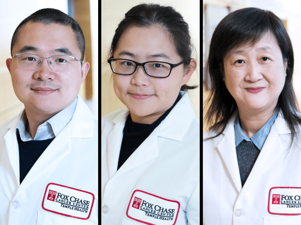 Weiran Feng, Hanzhi Luo, Qing Chen join Fox Chase Cancer Center as ...