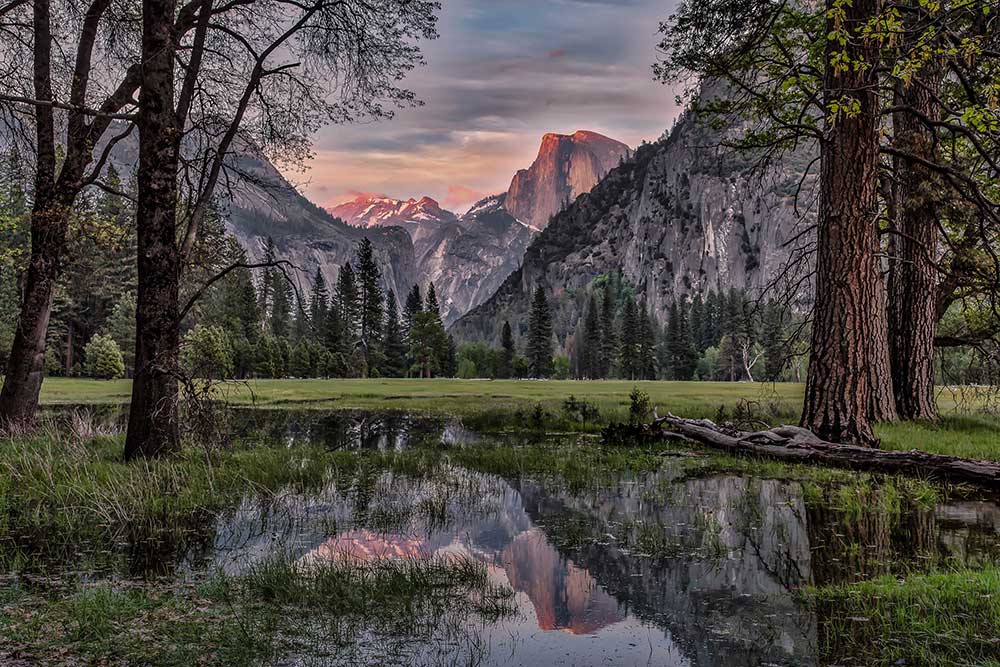 A meadow, encircled by trees, with pink mountains in the background.