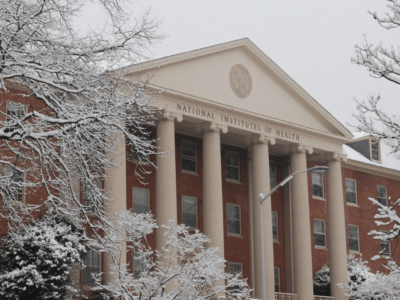 Letai: NCAB’s ad hoc working group plays major role in advising NCI on extramural research