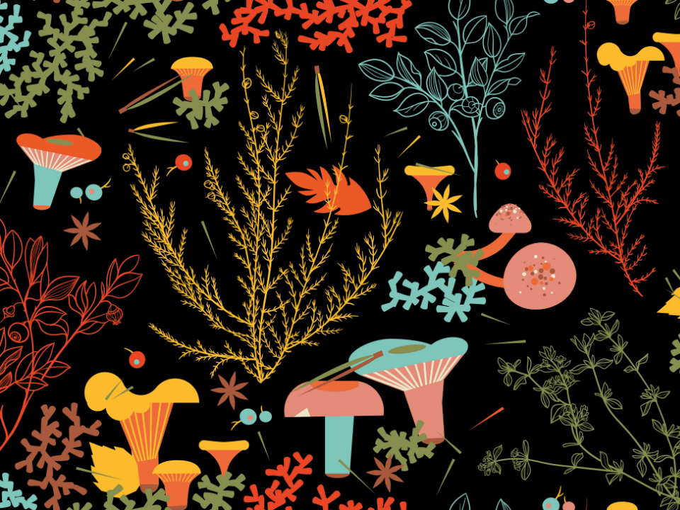 The Directors: Yolanda Sanchez and Kelvin Lee talk about making cancer centers more resilient “Diverse ecosystems are more robust than non-diverse ecosystems. That is a biological fact.”