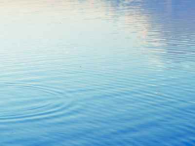 Letai: Perceptions aside, money is flowing and the cancer research infrastructure is sturdy