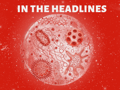 As FDA’s wheels almost entirely come off, NCI remains sturdy—a cancer moonshot may even be on the horizon