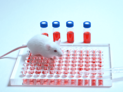 FDA clears a way for dramatic reduction in animal toxicology studies in cancer