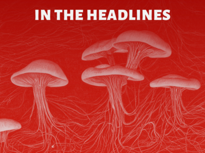 How will FDA regulate psychedelics?