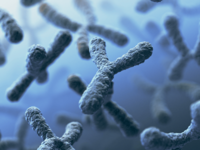 Cedars-Sinai, UA Cancer Center study shows how missing pieces of Y chromosome drive cancer in men
