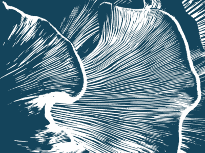 MD Anderson study suggests psilocybin may prevent chemo-induced neuropathy “Because it works in one neural system, you begin to wonder: Well, what about another?”