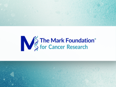 The Mark Foundation announces Endeavor Award winners